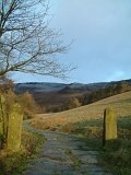 Up Grinsbrook path