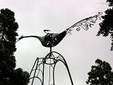 Botanical gardens - peacock sculpture
