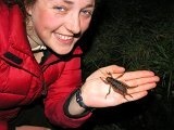 Eve and the weta