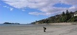 Frisbee on the beach (1)