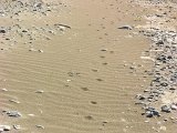 Angled sand prints