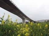 Road bridge (1)