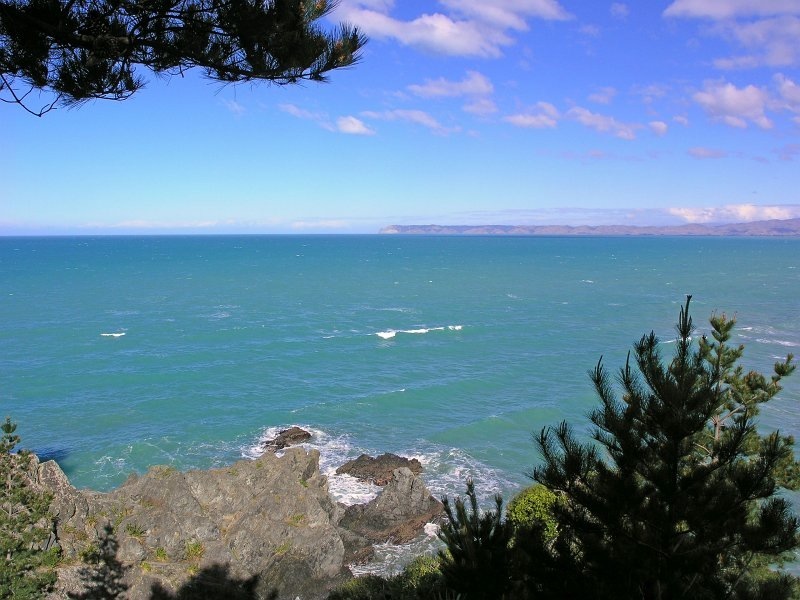 View from the cliff