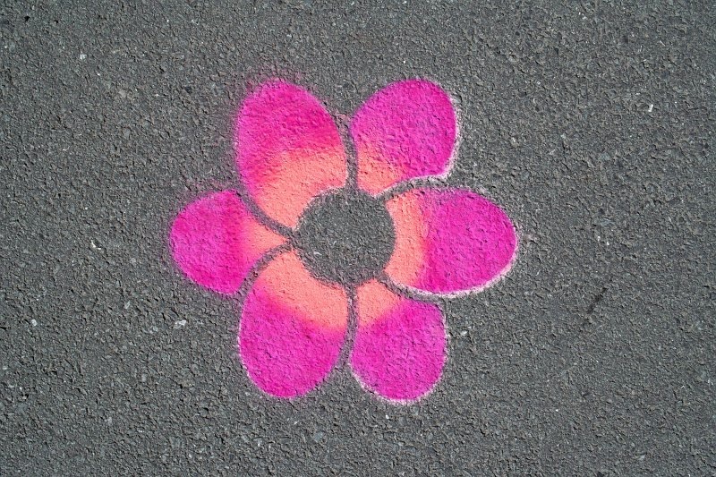 1056 - Botanical gardens (route marker on pavement)