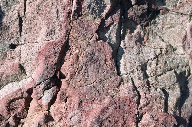 1224 - East Harbour rock detail