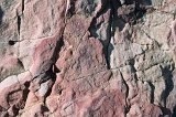 1224 - East Harbour rock detail