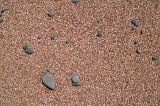 1635 - Bushy Beach coarse sand and pebbles