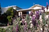 02 - Karori and Johnston Reserve, Wellington