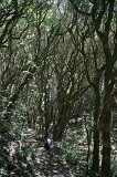 0934 - Into the Johnson Hill Reserve