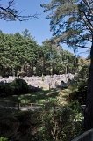 0989 - Karori Cemetary