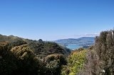 1199 - View to Porirua