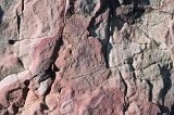 1224 - East Harbour rock detail