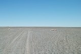 1263 - Beach at Palliser Bay