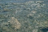 1376 - Orongorongo River