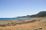 1385 - On the way to Turakirae Head
