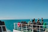 1442 - Ferry passengers