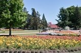 1513 - Seymour Square