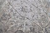1799 - Moeraki Boulder detail