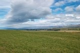 1845 - On the road to Alexandra and Queenstown