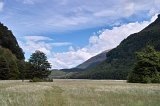 2218 - Dart Track view, near Chinamans Bluff