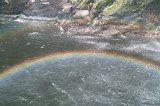 2339 - A waterfall rainbow from the Milford Sound cruise