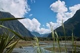2489 - Milford Sound walkway view