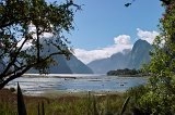 2498 - Milford Sound walkway view