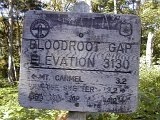 Bloodroot Gap