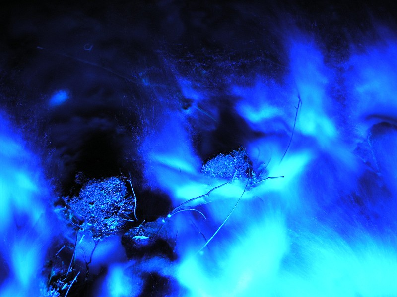 Blue river