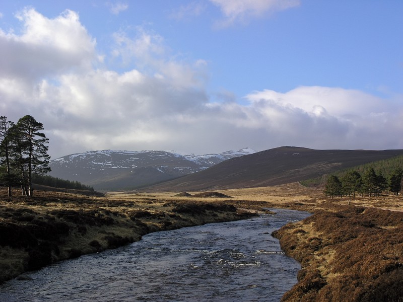 Cairngorms