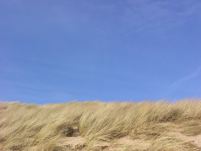 Dune ridge