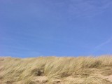 Dune ridge