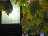 Illumination