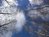 Skyward