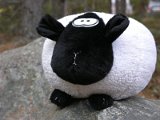 38 - Doorstop Sheep disapproves of this rock; it is too cold