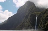 2441 - Milford Sound cruise view