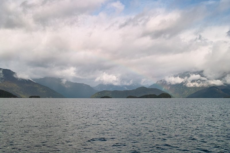 2697 - View from the Lake Manapouri ferry to West Arm