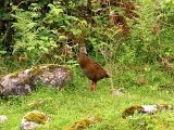 Curious Weka