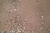 1138 - Sand detail