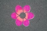 1056 - Botanical gardens (route marker on pavement)