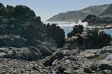 1300 - Seal colony near Cape Palliser