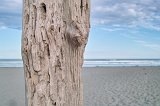 1550 - Woodend Beach (post detail)