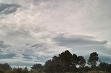 1691 - Sky and treeline behind Waikouaiti Beach