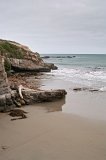 1819 - Untouched bay near Shag Point