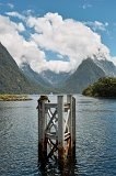 2270 - Milford Sound dock view