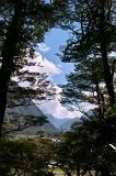 2514 - Milford Lookout Track view