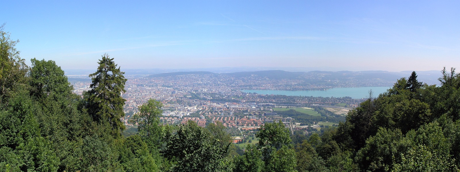 Zurich through trees (dual head)